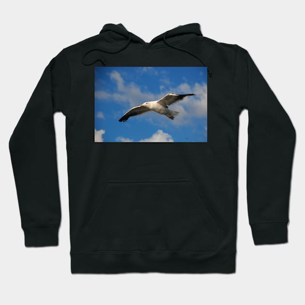 Jonathan Livingston Hoodie by RichardGibb